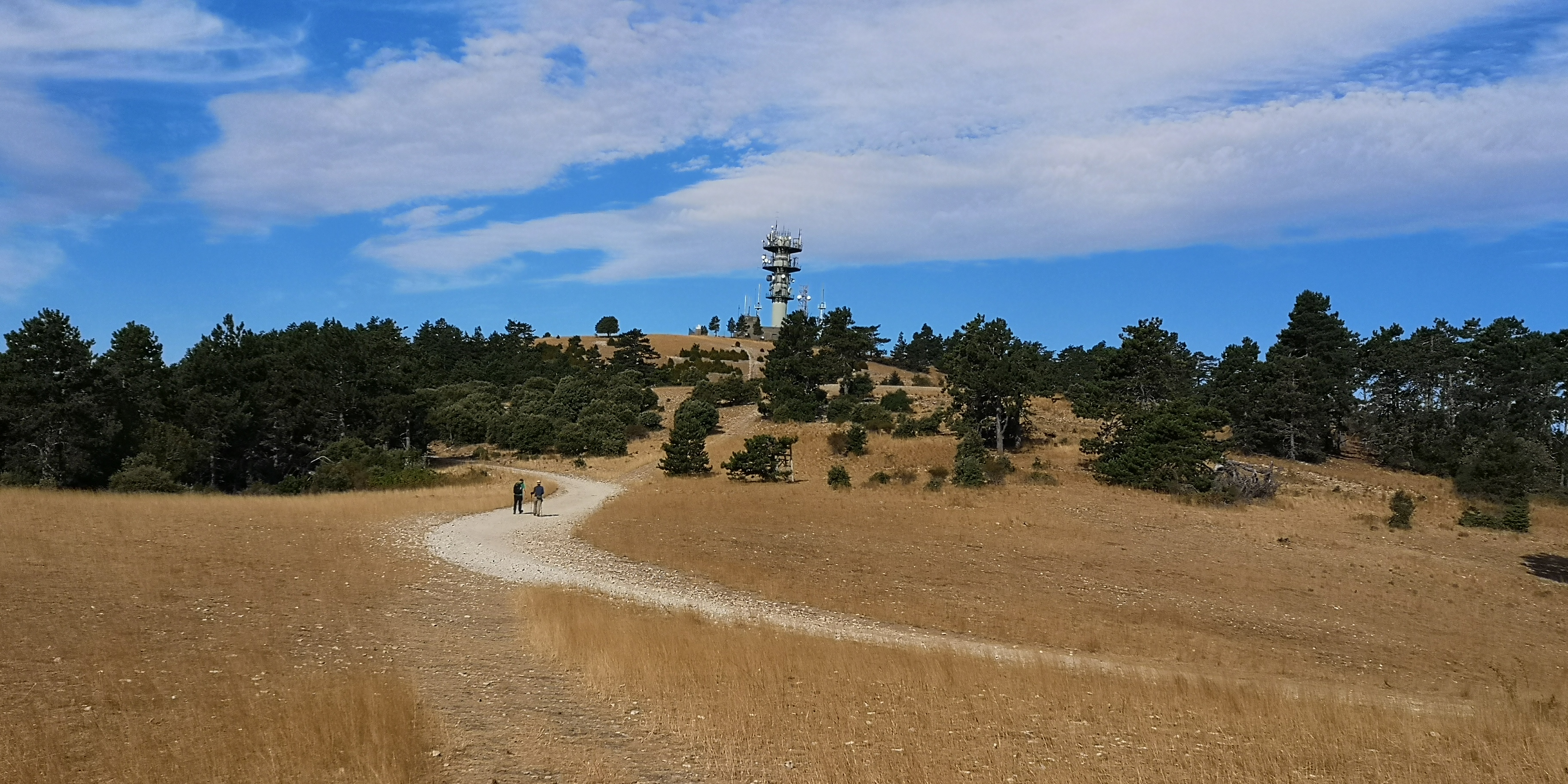Photo n° 5 de l'avis de Carol.a fait le 23/08/2020 à 09:48