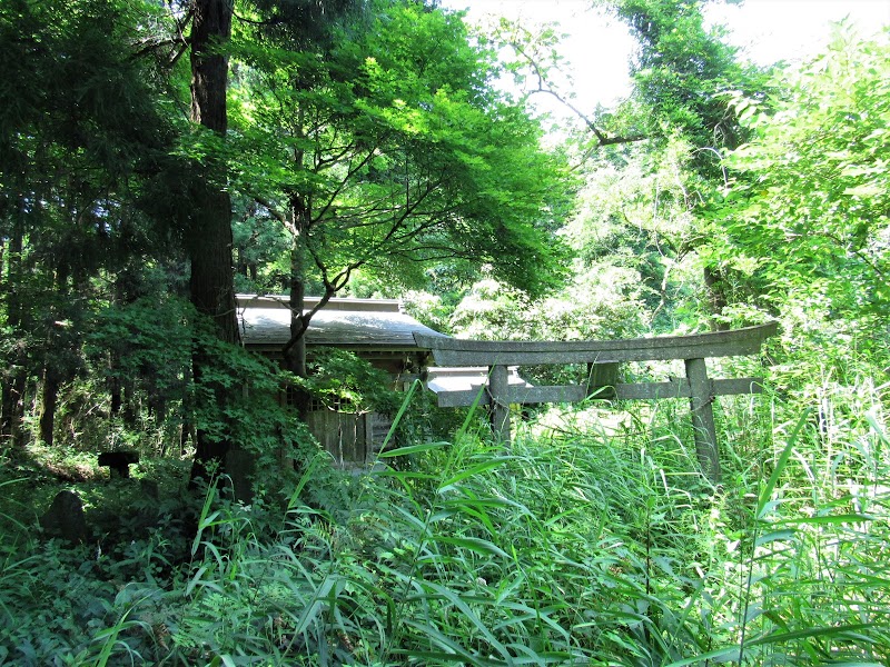 滝入神社