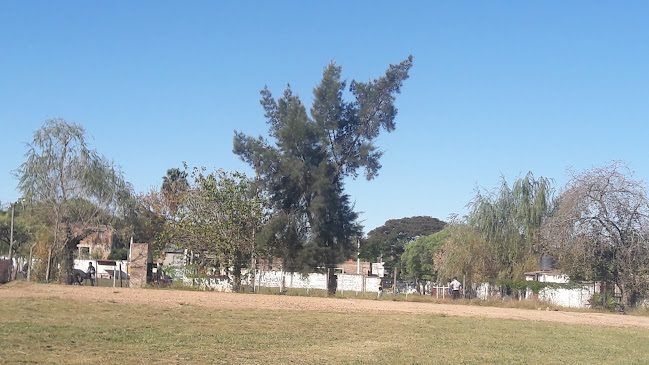 Piedra Plazoleta Barrio Universitario - Museo