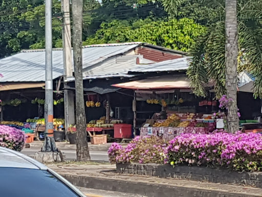 Fruit market