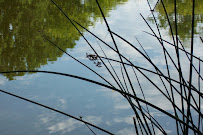 Points To Wellness Acupuncture and Integrative Medicine - Photo 3 - Car repair in Oakbrook Terrace, IL, Aurora