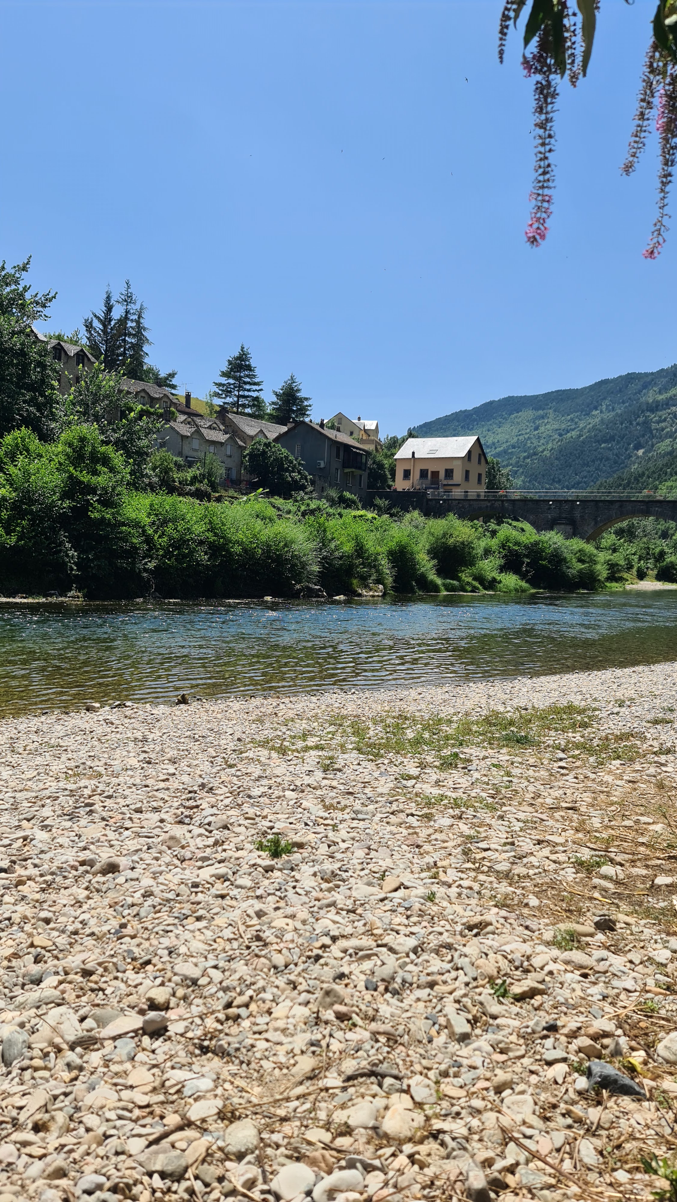 Photo n° 1 de l'avis de francine.e fait le 17/07/2023 à 16:49