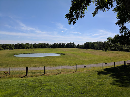 The Pet Camp, 380 Bart Bull Rd, Middletown, NY 10941, USA, 