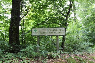 Forêt de Beaucamps-le-Jeune à Beaucamps-le-Jeune