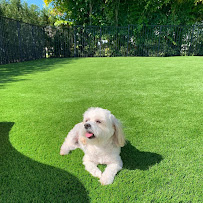 Enviroturf - Luxury Turf, Pavers, & Landscaping - Photo 7 - Car repair in , Coral Springs