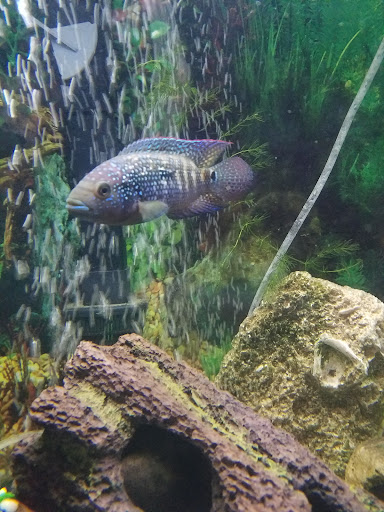 Pet Store «Pet Zone», reviews and photos, 1620 Marion-Mt Gilead Rd, Marion, OH 43302, USA