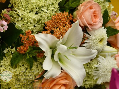 Florist «Rutland Beard Florist», reviews and photos, 5639 Baltimore National Pike, Catonsville, MD 21228, USA