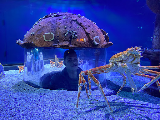 Aquarium «Wonders Of Wildlife National Museum & Aquarium», reviews and photos, 500 W Sunshine St, Springfield, MO 65807, USA