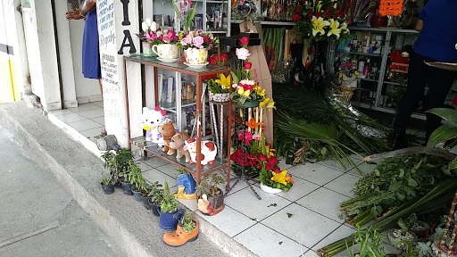 Bodega de flores Garcia tamazunchale