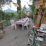 Photo n°2 de l'avis de Roberto.o fait le 06/09/2023 à 23:39 sur le  Azienda Agricola Scompiglio à Castelvenere