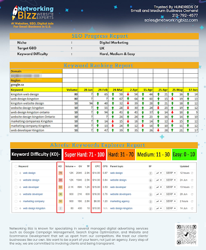 SEO Website Design Pasadena Networking Bizz image
