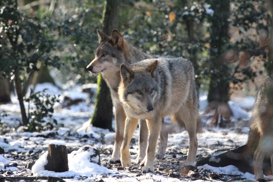 Photo n° 16 de l'avis de yolande.r fait le 24/10/2023 à 19:03