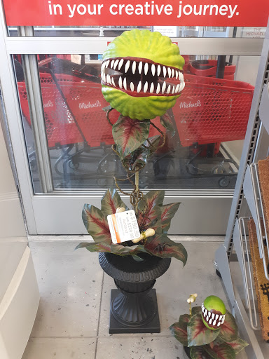 Craft Store «Michaels», reviews and photos, 12626 Capital Blvd, Wake Forest, NC 27587, USA