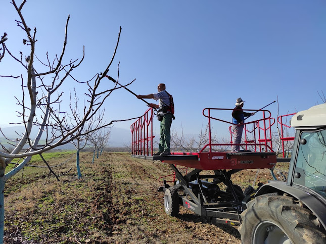 Καρύδια Γουμένισσας - Γουμένισσα