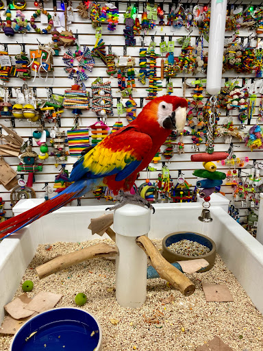 Pet Store «Pet Paradise», reviews and photos, 307 Kellam Rd, Virginia Beach, VA 23462, USA