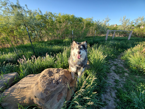 Park «Bicentennial Park», reviews and photos, 13655 E Alameda Ave, Aurora, CO 80012, USA