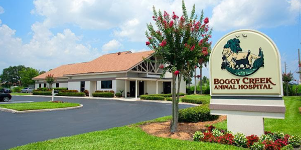 Boggy Creek Animal Hospital