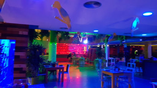 Restaurante Arara Bistro Bar