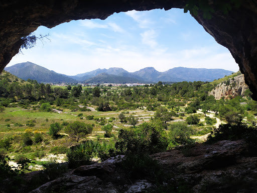 Climbing walls - Unnamed Road, 03729, Alicante