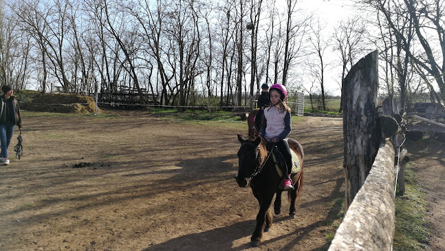 Dombtető Póni Klub - Szórakozóhely