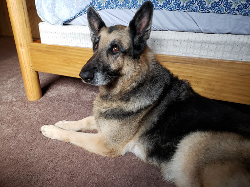 Pet Supply Store «Pet Supplies Plus», reviews and photos, 873 S Main St, Lapeer, MI 48446, USA