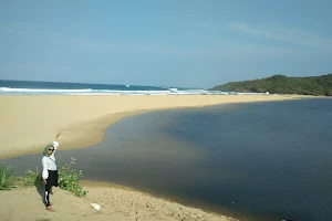 Pantai Pasir Putih Ujung Genteng image