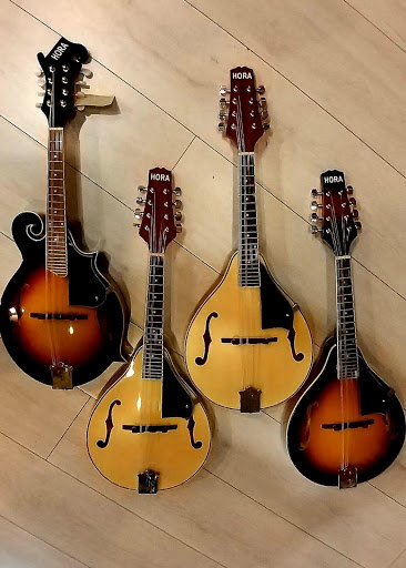 Ginsburg Musical Instruments