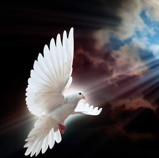 Flea Market «National Flea Market Lubbock», reviews and photos, 1808 Clovis Rd, Lubbock, TX 79415, USA