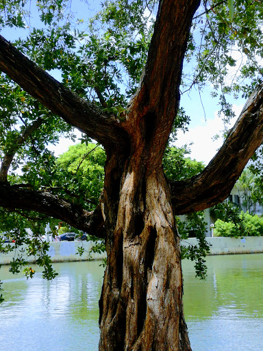 Liquor Store «Riviera Liquors», reviews and photos, 2401 Collins Ave # C1, Miami, FL 33140, USA