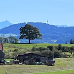 Photo n°2 de l'avis de Thomas.c fait le 04/10/2022 à 18:26 sur le  Waldcafé Bad Grönenbach à Bad Grönenbach