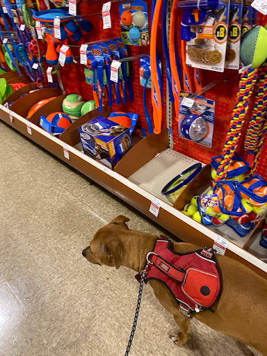 Pet Supply Store «PetSmart», reviews and photos, 2818 S Louise Ave, Sioux Falls, SD 57106, USA