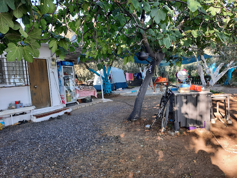 Parvan Camping