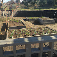 Ashland & Medford Landscaping - Photo 9 - Car repair in , Medford