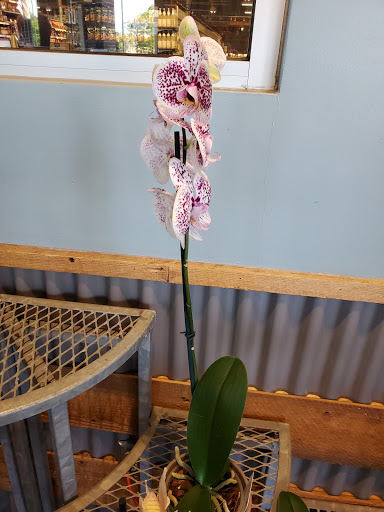 Grocery Store «Whole Foods Market», reviews and photos, 1815 E Victory Dr #101, Savannah, GA 31404, USA