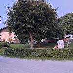 Photo n°1 de l'avis de Giambattista.o fait le 12/06/2022 à 20:54 sur le  Trattoria Felicita' à Aviatico