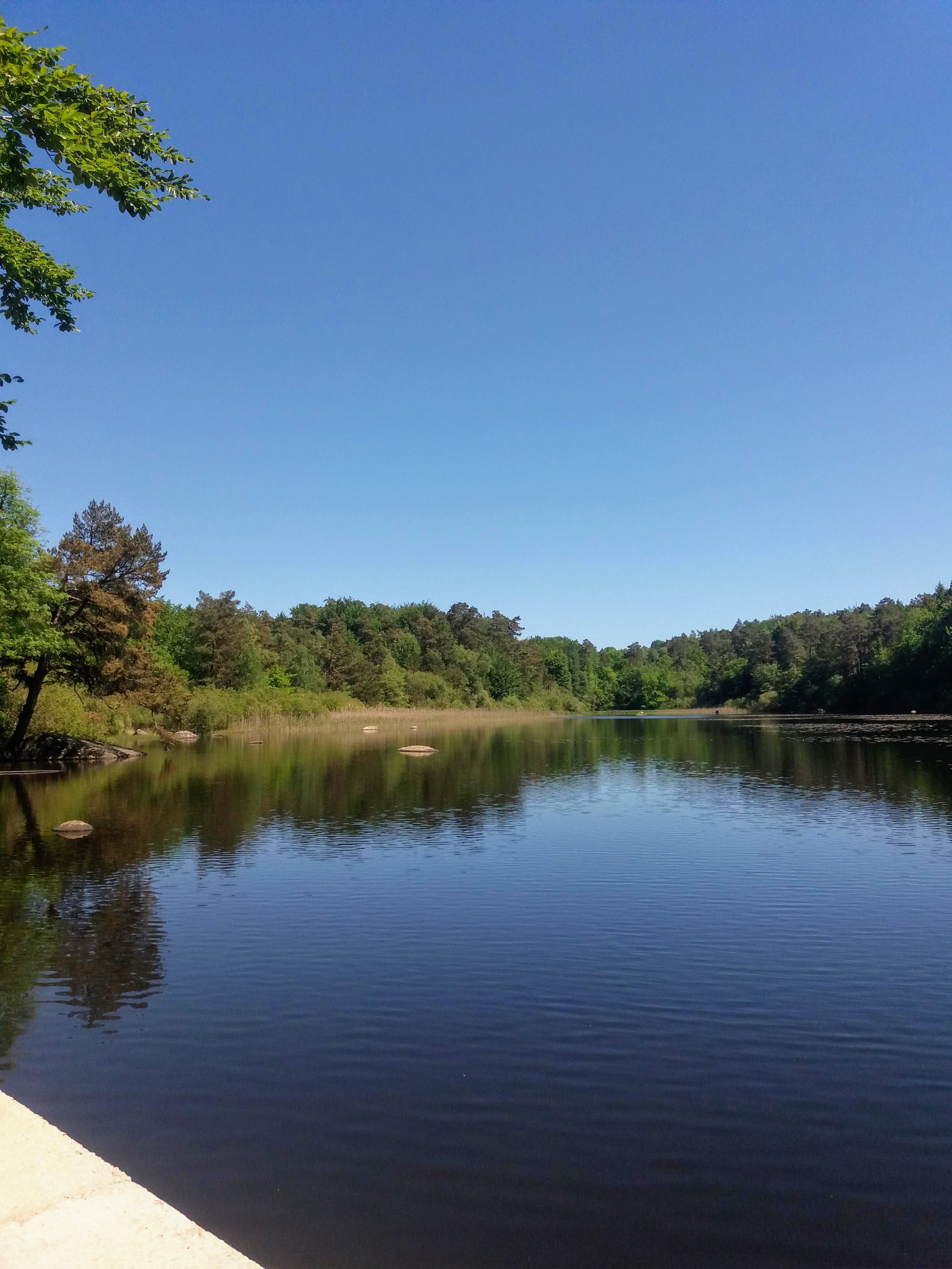 Photo n° 7 de l'avis de Carole.A fait le 03/06/2019 à 15:30