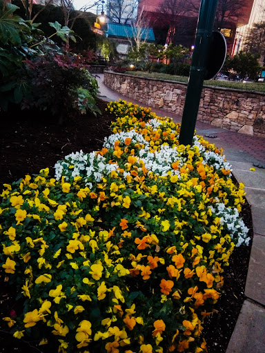 Performing Arts Theater «Blumenthal Performing Arts», reviews and photos, 130 N Tryon St, Charlotte, NC 28202, USA