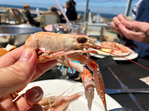 Photo n°143 de Le Vivier à Quiberon ()