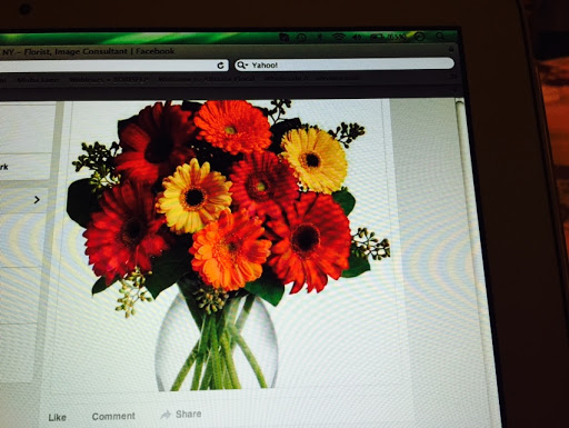 Florist «Gallery of Flowers Ny Corporation», reviews and photos, 1151 Brighton Beach Ave, Brooklyn, NY 11235, USA