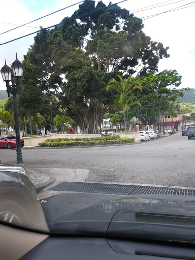 Grocery Store «MacDill Commissary», reviews and photos, 2908 N Boundary Blvd, Tampa, FL 33621, USA