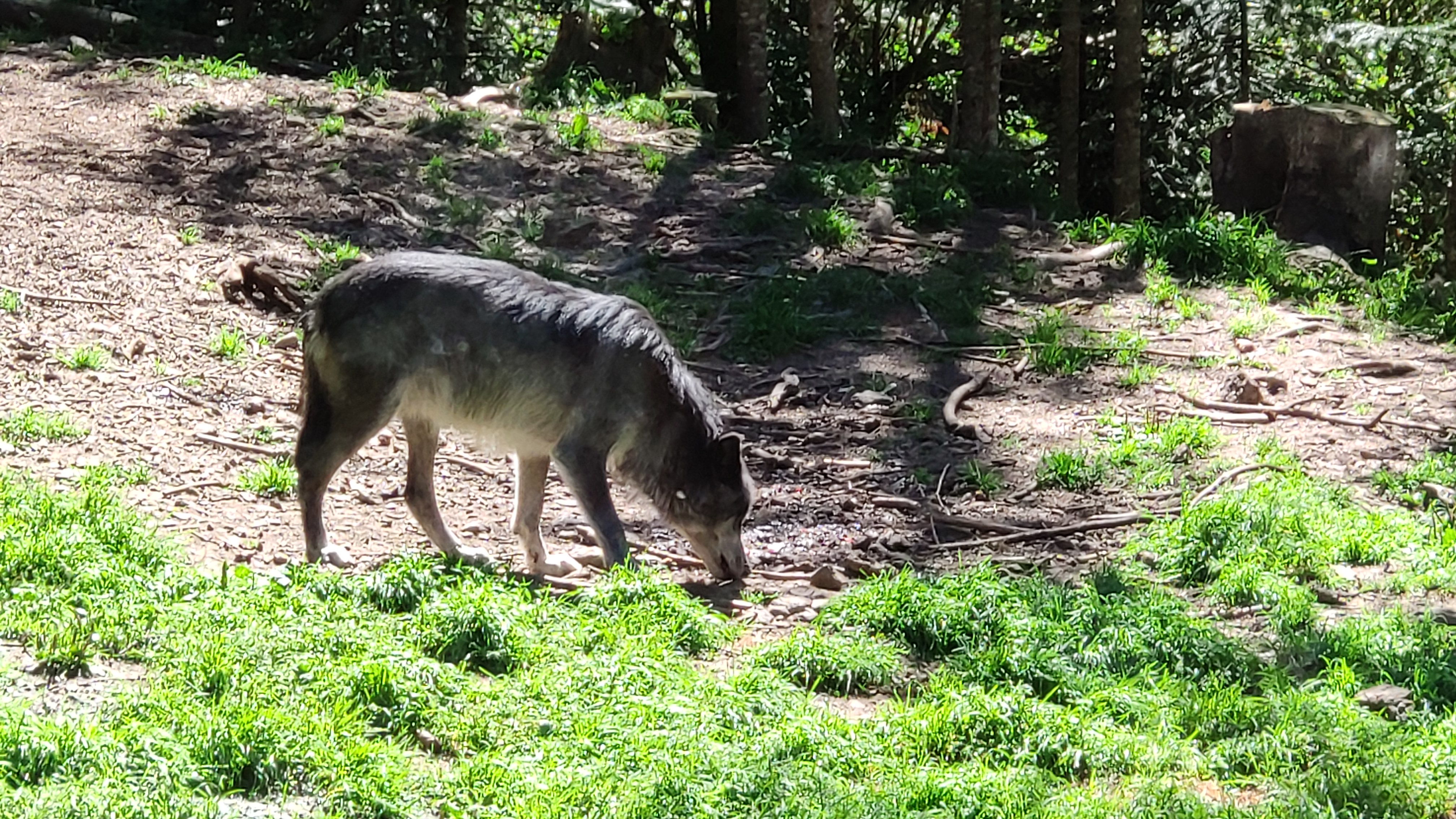 Photo n° 2 de l'avis de Vince.e fait le 09/08/2019 à 21:01