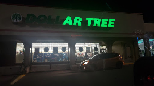 Dollar Store «Dollar Tree», reviews and photos, 612 S Walnut Ave, New Braunfels, TX 78130, USA