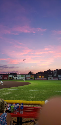 Baseball Club «Johnson City Cardinals», reviews and photos