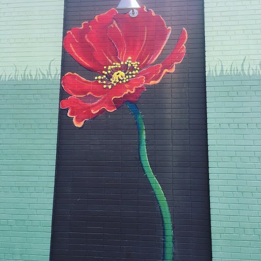 Florist «Posh Petals», reviews and photos, 1134 E 54th St A, Indianapolis, IN 46220, USA