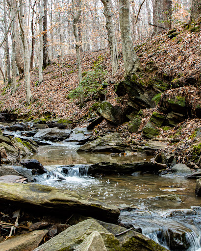 Nature Preserve «Big Trees Forest Preserve Inc», reviews and photos, 7645 Roswell Rd NE, Sandy Springs, GA 30350, USA