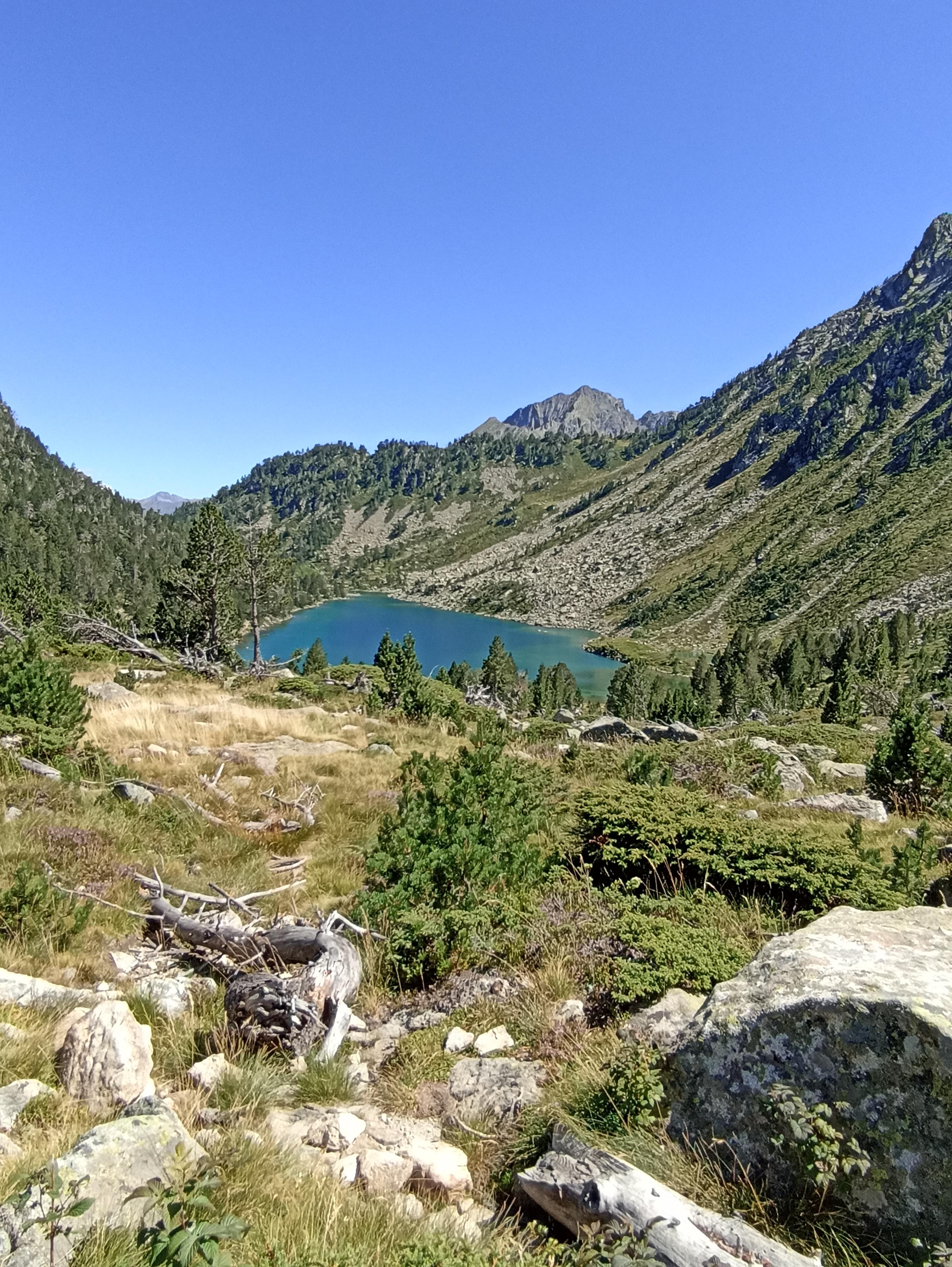 Photo n° 13 de l'avis de FIS.� fait le 15/08/2023 à 14:11