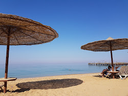 Photo de Dolphin Beach et le règlement