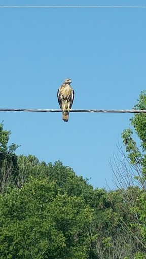 Golf Club «Brentwood Golf Club», reviews and photos, 12415 Grafton Rd, Grafton, OH 44044, USA