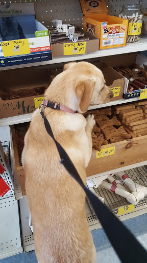 Pet Store «National Pet Center», reviews and photos, 726 Reservoir Ave, Cranston, RI 02910, USA