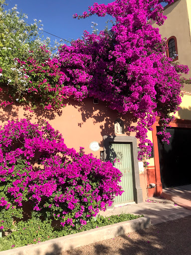 Attorney «Law Office of Francisco Hernandez», reviews and photos